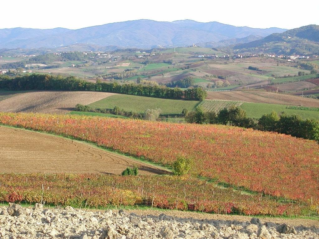 Villa Dei Romaniani Villaromagnano Екстериор снимка