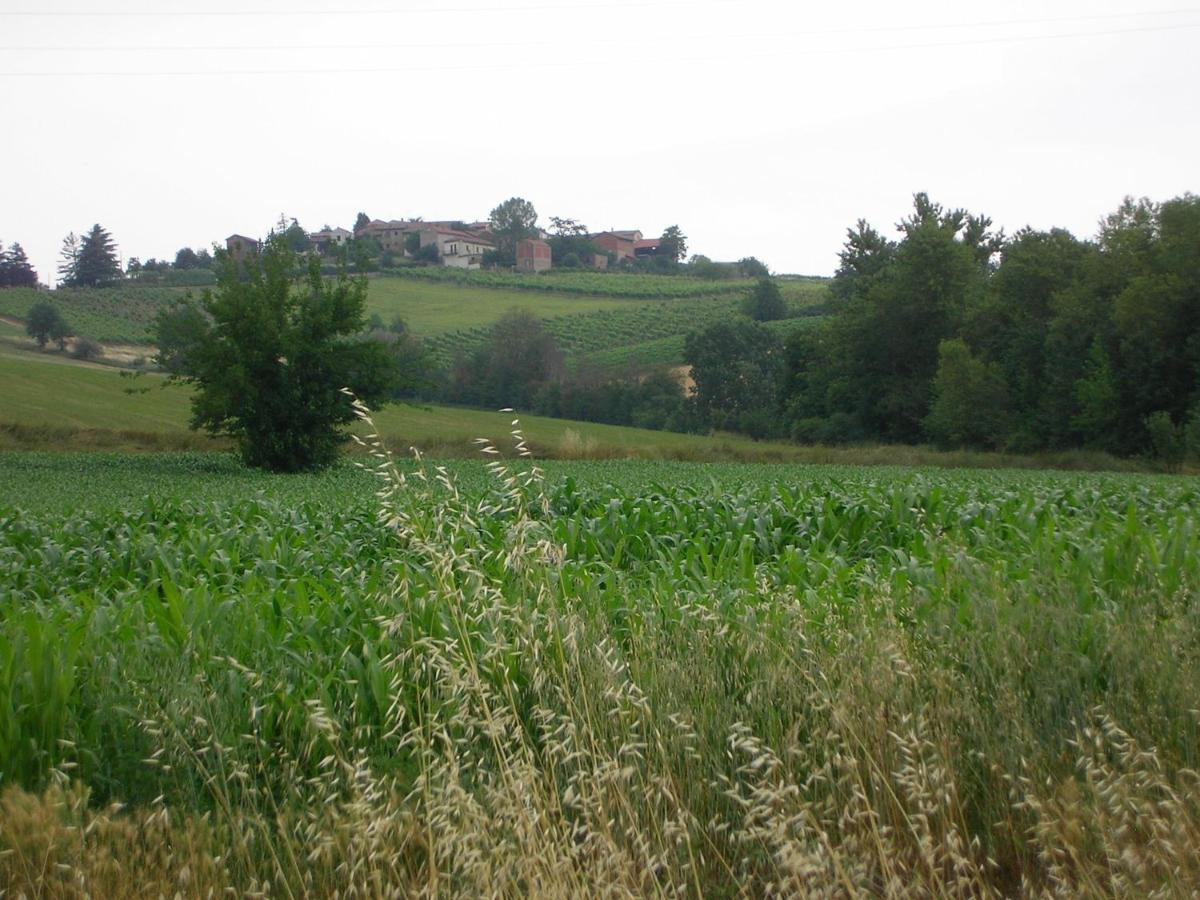 Villa Dei Romaniani Villaromagnano Екстериор снимка