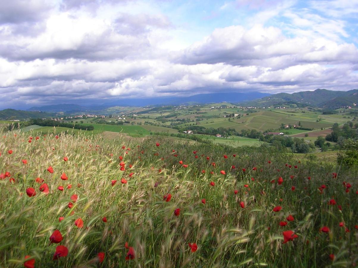 Villa Dei Romaniani Villaromagnano Екстериор снимка